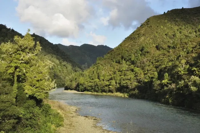 Framed Print : Waioeka River, Waioeka Gorge Scenic Reserve, Bay of Plenty, North Island Framed Print : Waioeka River, Waioeka Gorge Scenic Reserve, Bay of Plenty, North Island