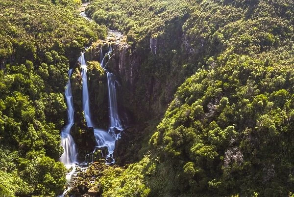 Waipunga Falls, a waterfall of the Waipunga River near Taupo, Waikato Region, North Island