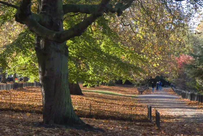 Framed Print : Walk through Battersea Park, London, England, United Kingdom, Europe