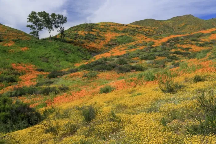 Framed Print : Walker Canyon, Lake Elsinore, Riverside County, California, United States of America Framed Print : Walker Canyon, Lake Elsinore, Riverside County, California, United States of America