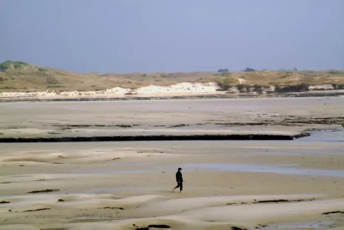 Framed Print : Walker on sands at low tide, Portbail, Cotentin Peninsula, Manche, Normandy Framed Print : Walker on sands at low tide, Portbail, Cotentin Peninsula, Manche, Normandy