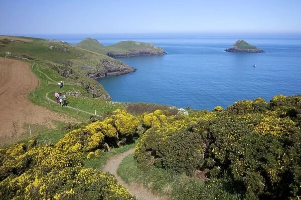 Walkers on coastpath with views of the Mouls and Rumps Point, Pentire Headland