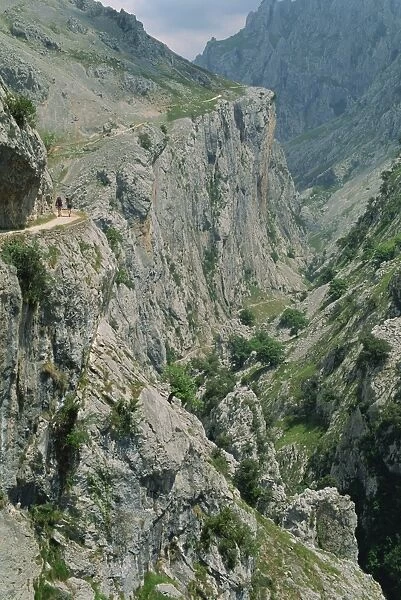 Walkers on a narrow mountain road above the Cares Gorge