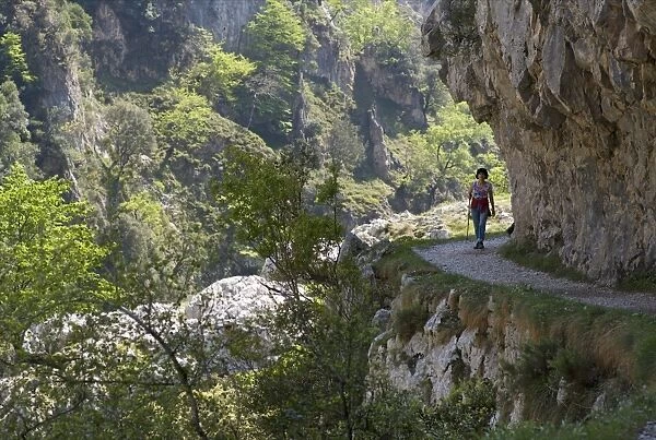 Walking the Cares Gorge footpath, Picos de Europa, Castilla y Leon, Spain, Europe