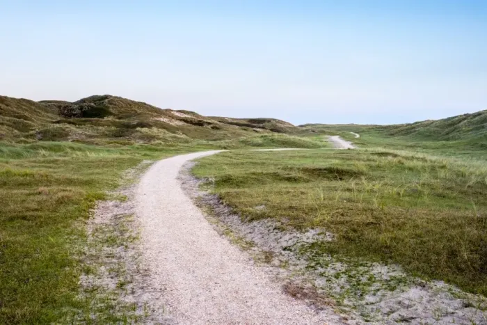 Framed Print : Walking path through the dunes, Julianadorp, North Holland, Netherlands, Europe Framed Print : Walking path through the dunes, Julianadorp, North Holland, Netherlands, Europe