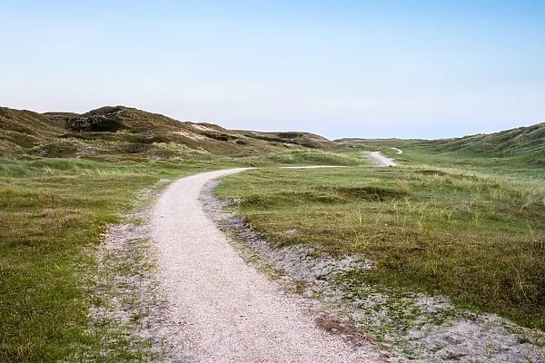 Walking path through the dunes, Julianadorp, North Holland, Netherlands, Europe