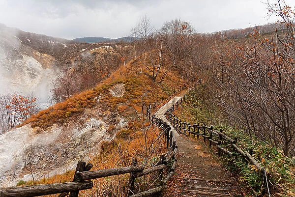 Walking path leading through autumal forest with steaming volcanic valley of Noboribetsu on the left, Hokkaido, Japan, Asia