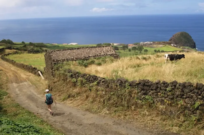 Framed Print : Walking track between fields and the south coast, Pico, Azores, Portugal Framed Print : Walking track between fields and the south coast, Pico, Azores, Portugal