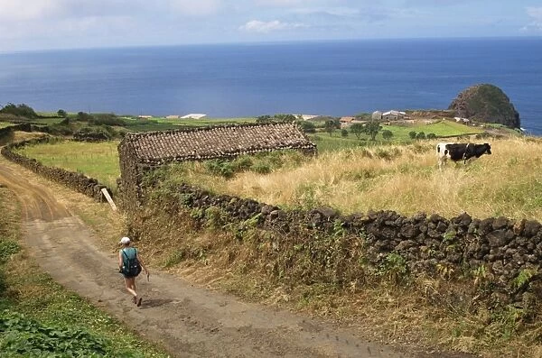Walking track between fields and the south coast, Pico, Azores, Portugal