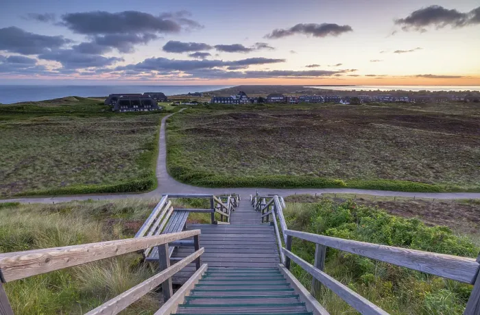 Framed Print : Walkway down to heather and sand dunes at dawn, Kampen, Sylt, Schleswig Holstein, Germany, Europe Framed Print : Walkway down to heather and sand dunes at dawn, Kampen, Sylt, Schleswig Holstein, Germany, Europe