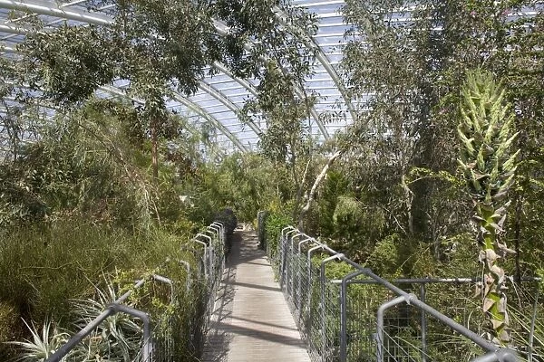 Walkway into Western Australian area of the Great Glasshouse, National Botanic Garden of Wales