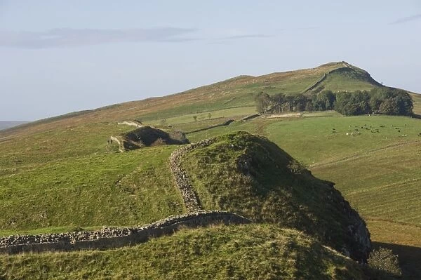 The wall east to Steel Rigg and Windshields Crag, Hadrians Wall, UNESCO World Heritage Site