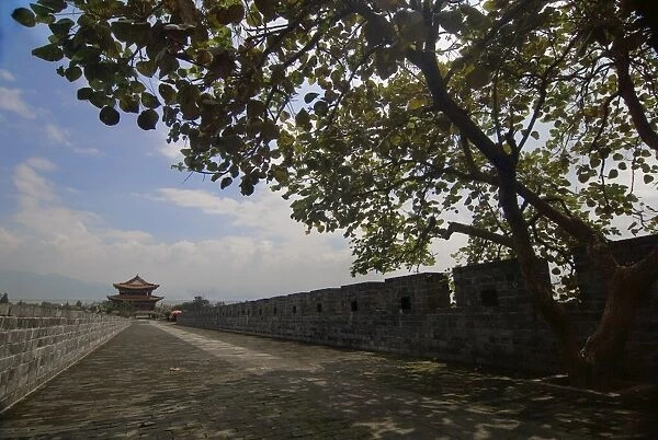 Wall of the old city, Dali, Yunnan, China, Asia