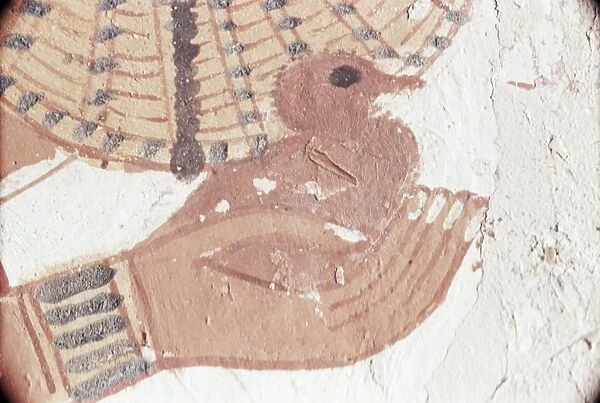 Wall painting of bird in hand in the tomb of Nakht, Minister of Agriculture in the reign of Tutmosis IV, Valley of the Nobles, Thebes, UNESCO World Heritage Site, Egypt, North