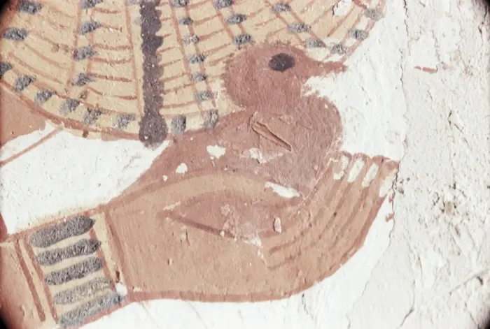 Framed Print : Wall painting of bird in hand in the tomb of Nakht, Minister of Agriculture in the reign of Tutmosis IV, Valley of the Nobles, Thebes, UNESCO World Heritage Site, Egypt, North Framed Print : Wall painting of bird in hand in the tomb of Nakht, Minister of Agriculture in the reign of Tutmosis IV, Valley of the Nobles, Thebes, UNESCO World Heritage Site, Egypt, North