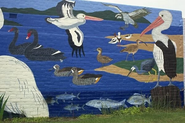 Wall painting of local birds, Denmark, Western Australia, Australia, Pacific
