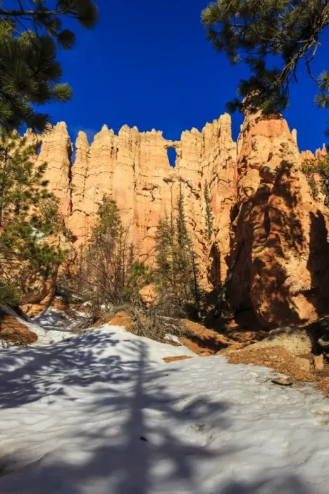 Framed Print : Wall of Windows from base in early morning sun, snow and pine trees, Peekaboo Loop Trail, Bryce Canyon National Park, Utah, United States of America, North America Framed Print : Wall of Windows from base in early morning sun, snow and pine trees, Peekaboo Loop Trail, Bryce Canyon National Park, Utah, United States of America, North America