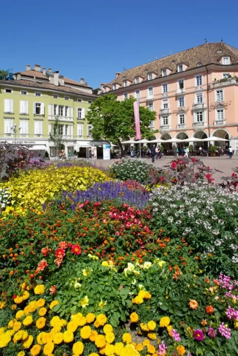 Framed Print : Walther Platz, Bolzano, Bolzano Province, Trentino-Alto Adige, Italy, Europe Framed Print : Walther Platz, Bolzano, Bolzano Province, Trentino-Alto Adige, Italy, Europe