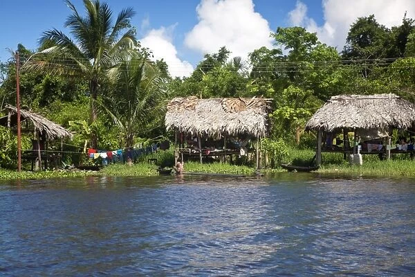 Warao Indian hatched-roof huts built upon stilts, Delta Amacuro, Orinoco Delta