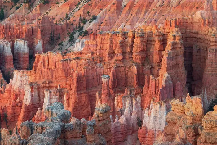 Framed Print : Warm light envelops the majestic rock formation in Bryce Canyon National Park on a summer day, Utah, United States of America