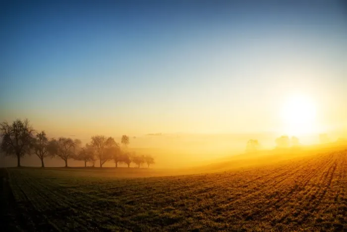 Framed Print : Warm morning sun illuminating dense fog in a colorful rural landscape scene, Baden-Wurttemberg Framed Print : Warm morning sun illuminating dense fog in a colorful rural landscape scene, Baden-Wurttemberg