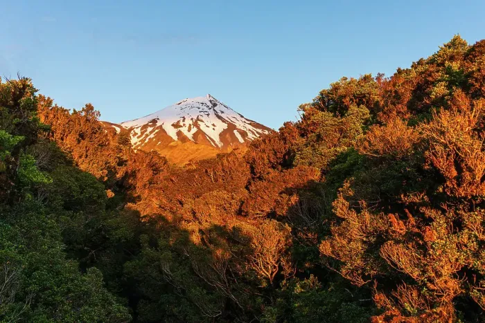 Framed Print : Warm sunset, jungle forest and snowy summit of Taranaki Volcano, North Island, New Zealand, Pacific Framed Print : Warm sunset, jungle forest and snowy summit of Taranaki Volcano, North Island, New Zealand, Pacific