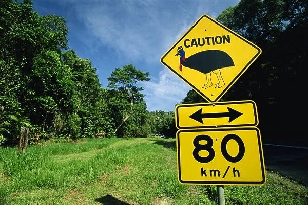 Warning road sign for cassowaries near Mission Beach on the northeast coast of Queensland