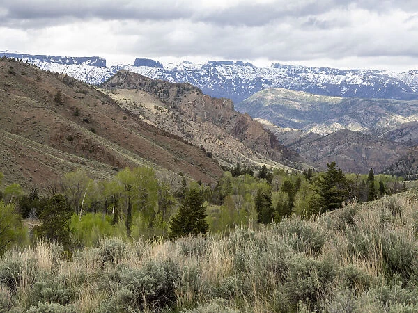 The Washakie Wilderness area within Shoshone National Forest, Wyoming