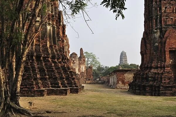Wat Maha That, Ayutthaya, UNESCO World Heritage Site, Thailand, Southeast Asia, Asia
