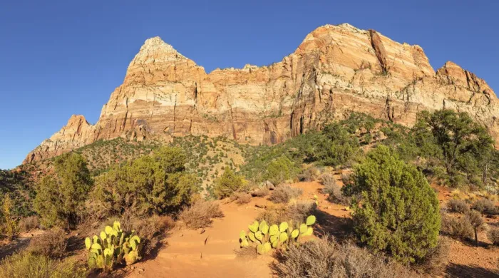 Framed Print : Watchman Mountain, Zion National Park, Colorado Plateau, Utah, United States of America Framed Print : Watchman Mountain, Zion National Park, Colorado Plateau, Utah, United States of America