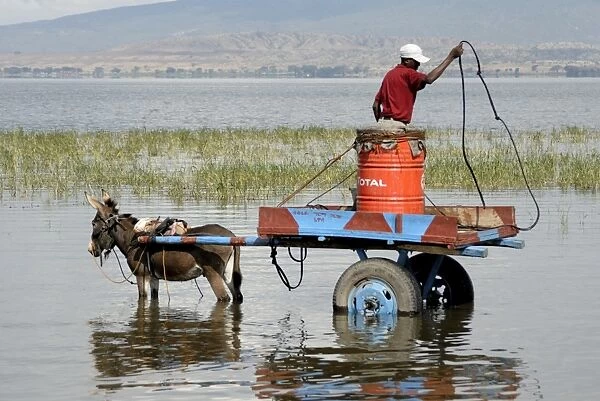Water carrier, Lake Awassa, Ethiopia, Africa