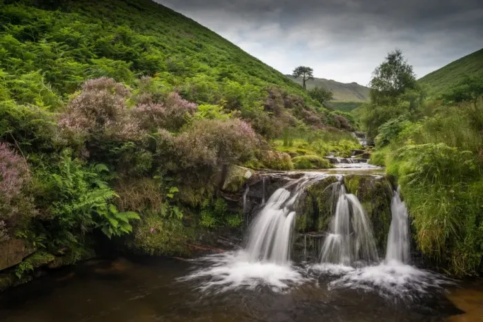 Framed Print : Water cascading over rocks on moorland habitat, Fairbrook, Peak District National Park Framed Print : Water cascading over rocks on moorland habitat, Fairbrook, Peak District National Park