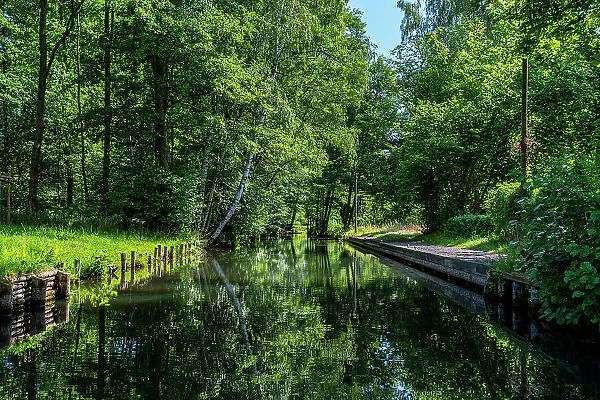 Water channel, UNESCO Biosphere Reserve, Spree Forest, Brandenburg, Germany, Europe