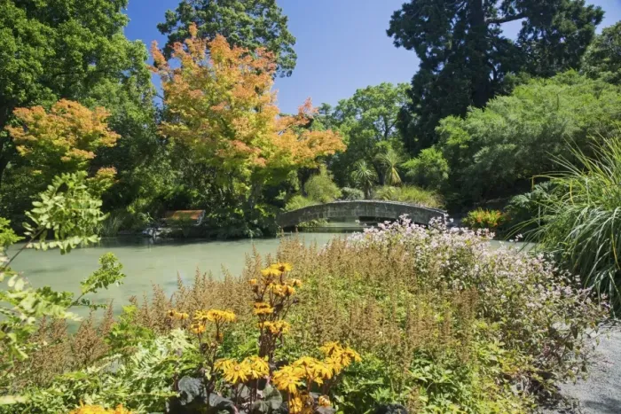 Framed Print : The Water Garden, Christchurch Botanic Gardens, Christchurch, Canterbury, South Island Framed Print : The Water Garden, Christchurch Botanic Gardens, Christchurch, Canterbury, South Island