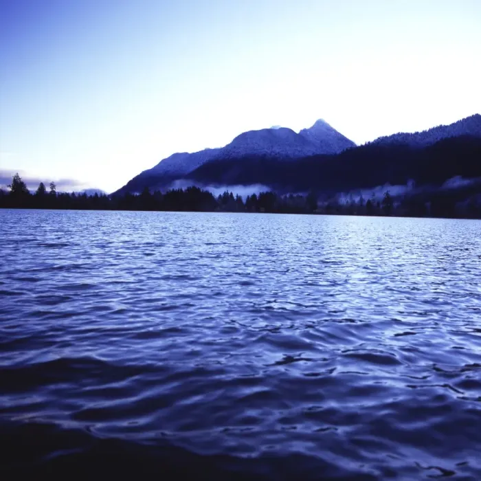 Framed Print : Water, trees, and mountains viewed from the waters of Lake Quinault, Olympic National Park Framed Print : Water, trees, and mountains viewed from the waters of Lake Quinault, Olympic National Park