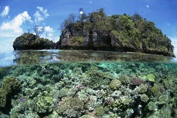 Above and below water view of coral reef surrounding islet of Yanu Yanu i Sau