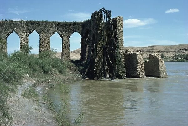 Water wheel near Ana, taken in 1982, Iraq, Middle East