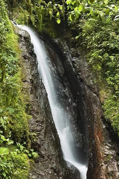 Waterfall at Arenal Hanging Bridges where the rainforest is accessible via walkways, La Fortuna, Alajuela Province, Costa Rica, Central America