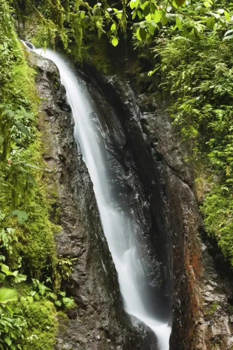 Framed Print : Waterfall at Arenal Hanging Bridges where the rainforest is accessible via walkways, La Fortuna, Alajuela Province, Costa Rica, Central America Framed Print : Waterfall at Arenal Hanging Bridges where the rainforest is accessible via walkways, La Fortuna, Alajuela Province, Costa Rica, Central America