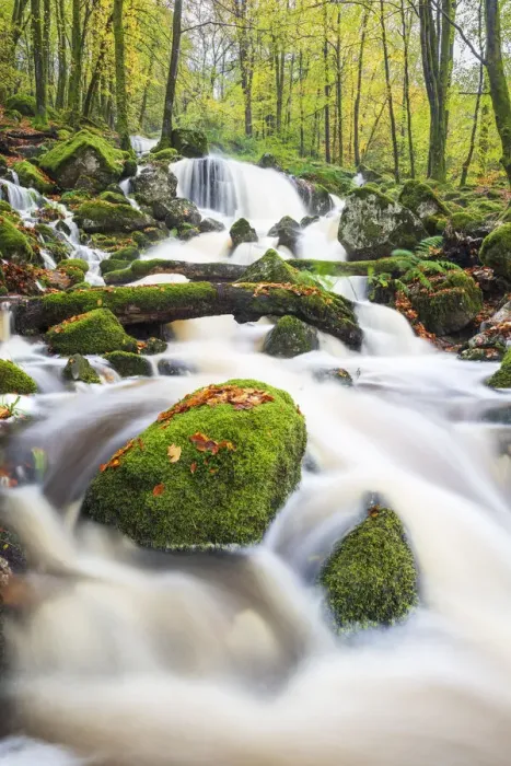 Framed Print : Waterfall in autumn woodland beside Loch Ken, Galloway Forest Park, Dumfries and Galloway, Scotland, United Kingdom, Europe Framed Print : Waterfall in autumn woodland beside Loch Ken, Galloway Forest Park, Dumfries and Galloway, Scotland, United Kingdom, Europe