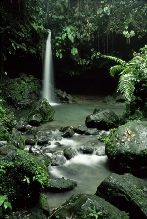 Framed Print : Waterfall flowing into the Emerald Pool, Dominica, West Indies, Central America