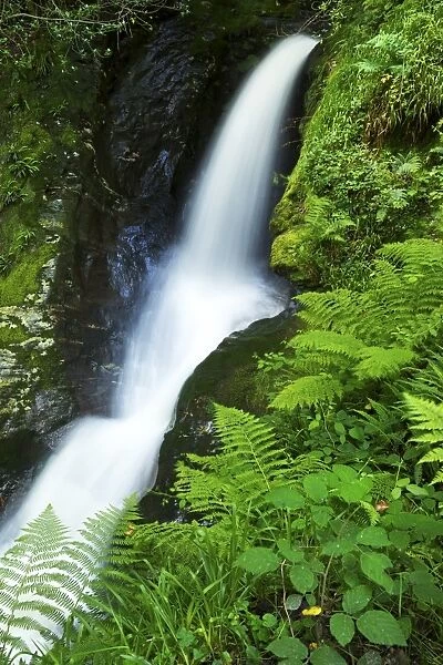 Waterfall, Glendalough, County Wicklow, Leinster, Republic of Ireland, Europe