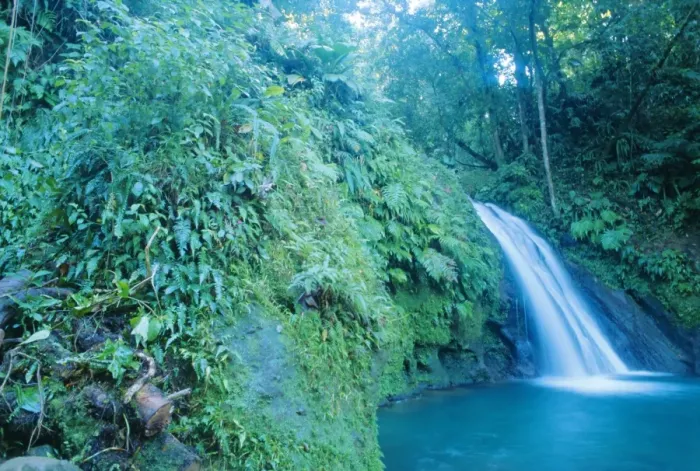 Framed Print : Waterfall, Guadeloupe Framed Print : Waterfall, Guadeloupe