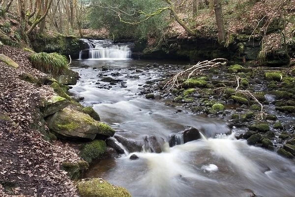 Waterfall on Harden Beck in Goitstock Wood, Cullingworth, Yorkshire, England, United Kingdom, Europe