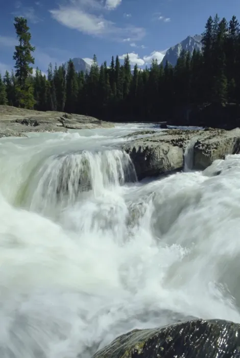 Framed Print : Waterfall on the Kicking Horse River, Yoho National Park, Rocky Mountains Framed Print : Waterfall on the Kicking Horse River, Yoho National Park, Rocky Mountains