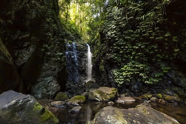 Waterfall at Lamington National Park, Queensland, Australia, Pacific