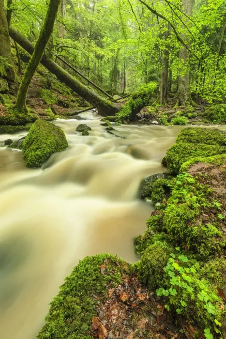 Framed Print : Waterfall at Monbachtal Valley, Black Forest, Baden-Wurttemberg, Germany, Europe Framed Print : Waterfall at Monbachtal Valley, Black Forest, Baden-Wurttemberg, Germany, Europe