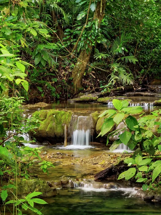 Framed Print : Waterfall at Moteipa Trail, Palenque Archaeological Site, Palenque, Chiapas State, Mexico Framed Print : Waterfall at Moteipa Trail, Palenque Archaeological Site, Palenque, Chiapas State, Mexico