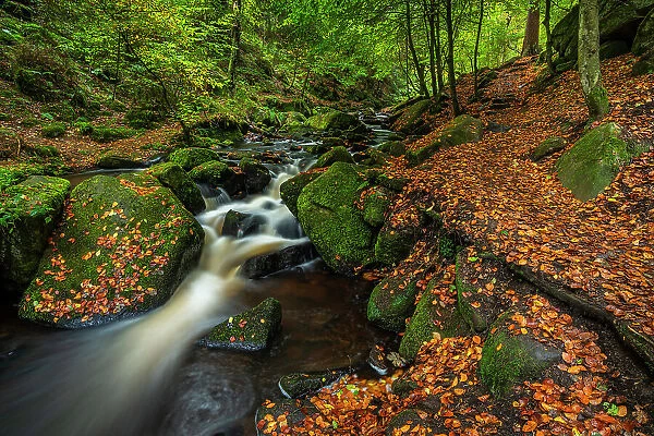 Waterfall and path, autumn colour, Wyming Brook, Peak District National Park, Derbyshire, England, United Kingdom, Europe