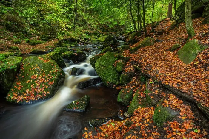 Framed Print : Waterfall and path, autumn colour, Wyming Brook, Peak District National Park, Derbyshire, England, United Kingdom, Europe